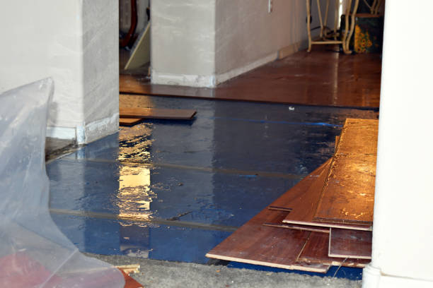 Professional Water Damage Restoration technician working in Sherman, CT